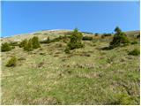 Tegoška planina - Pungartska gora